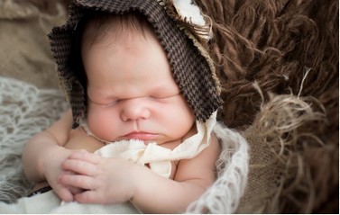 wedding celebrant cairns